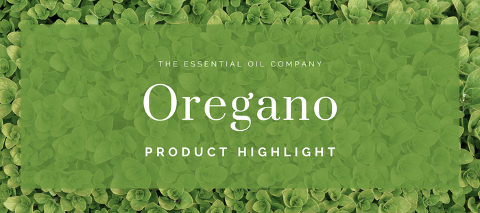 Oregano Essential Oil: Plant, History and Distillation – The Essential ...