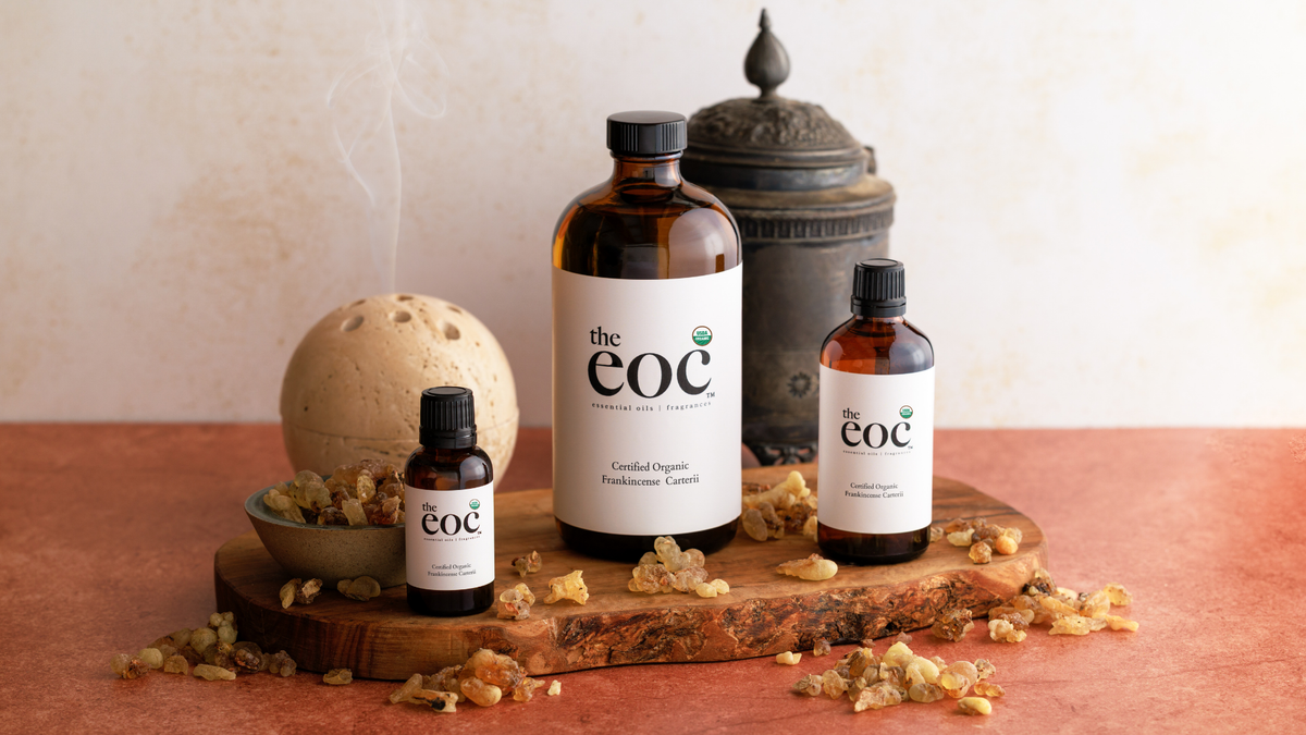 Why We Source Our Certified Organic Frankincense from Böswellness in Somaliland: From the Golis Mountains to a distillery in Vermont