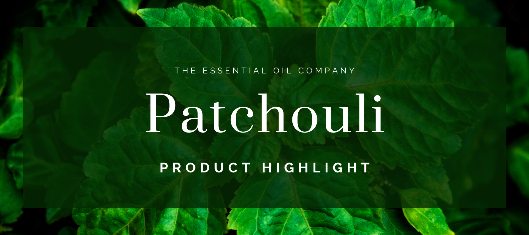 Patchouli: Product Highlight
