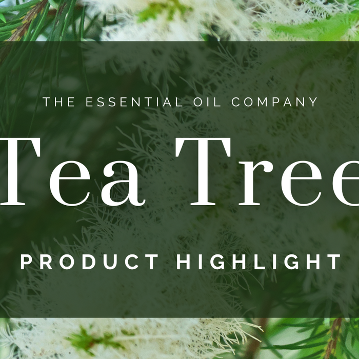 tea tree essential oil product highlight
