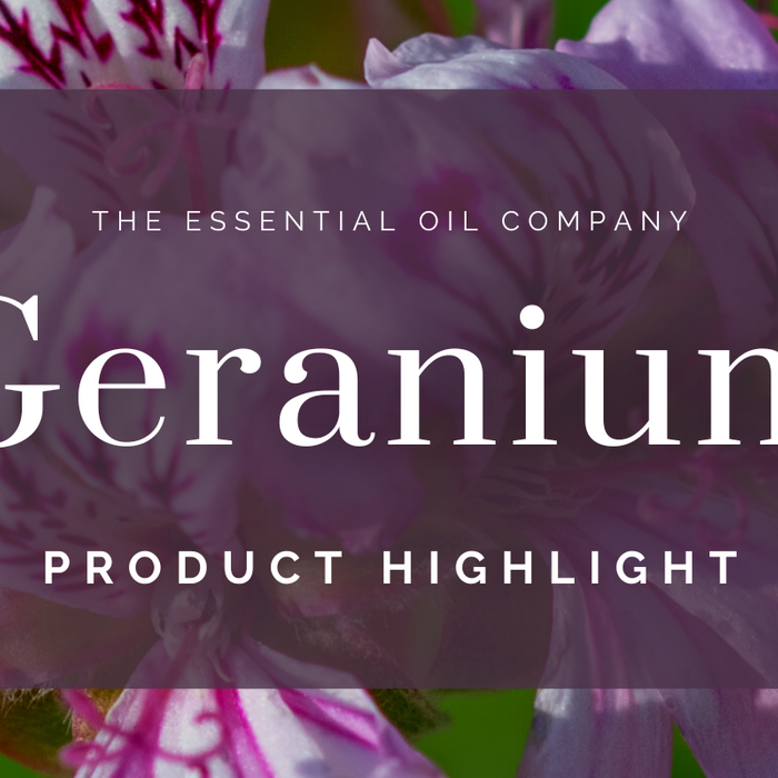Geranium Product Hightlight