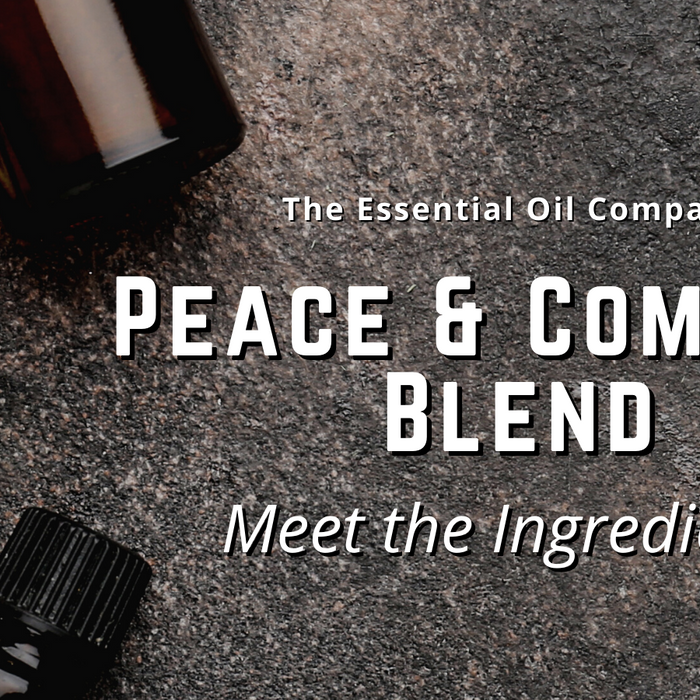 Peace & Comfort Blend: Meet the Ingredients