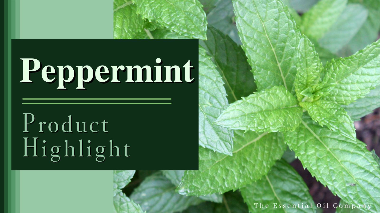 Peppermint: Product Highlight