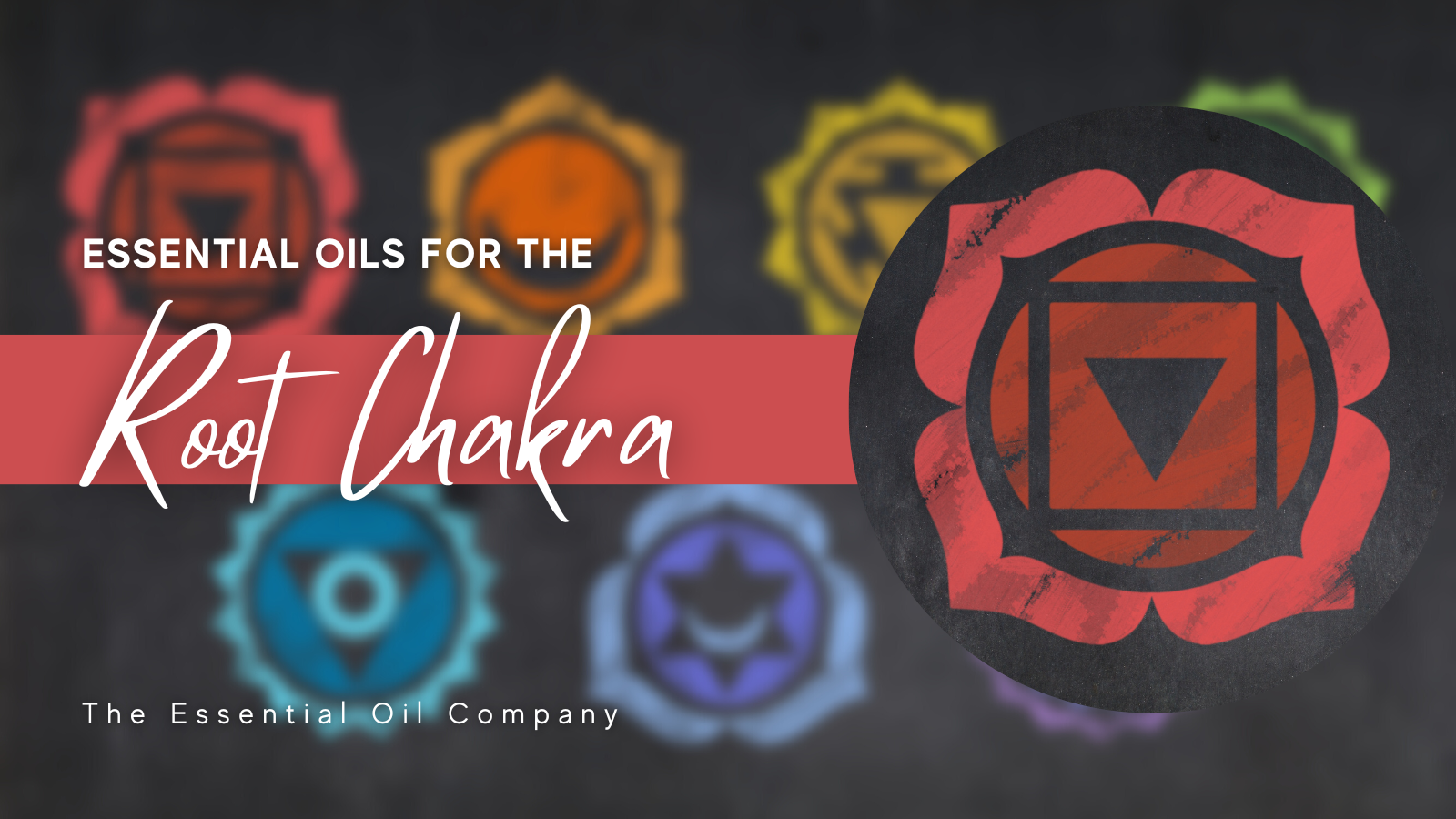 Essential Oils for the Root Chakra