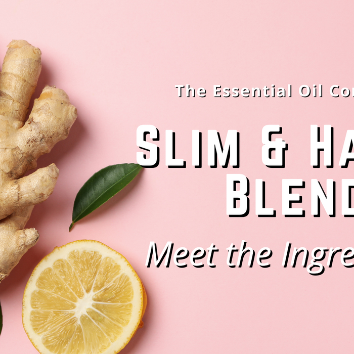 Slim & Happy Blend: Meet the Ingredients