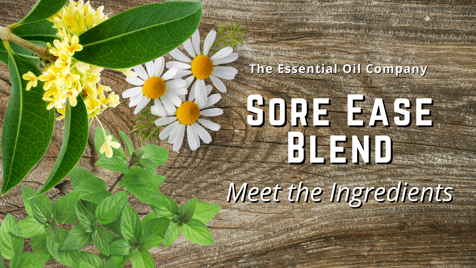 Sore Ease Blend: Meet the Ingredients