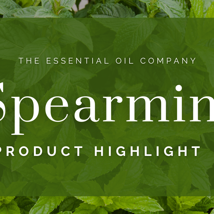 Spearmint: Product Highlight