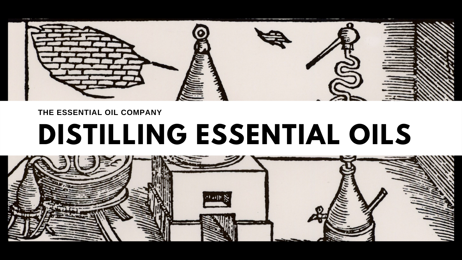 Ancient image of early distillation equipment for making essential oils