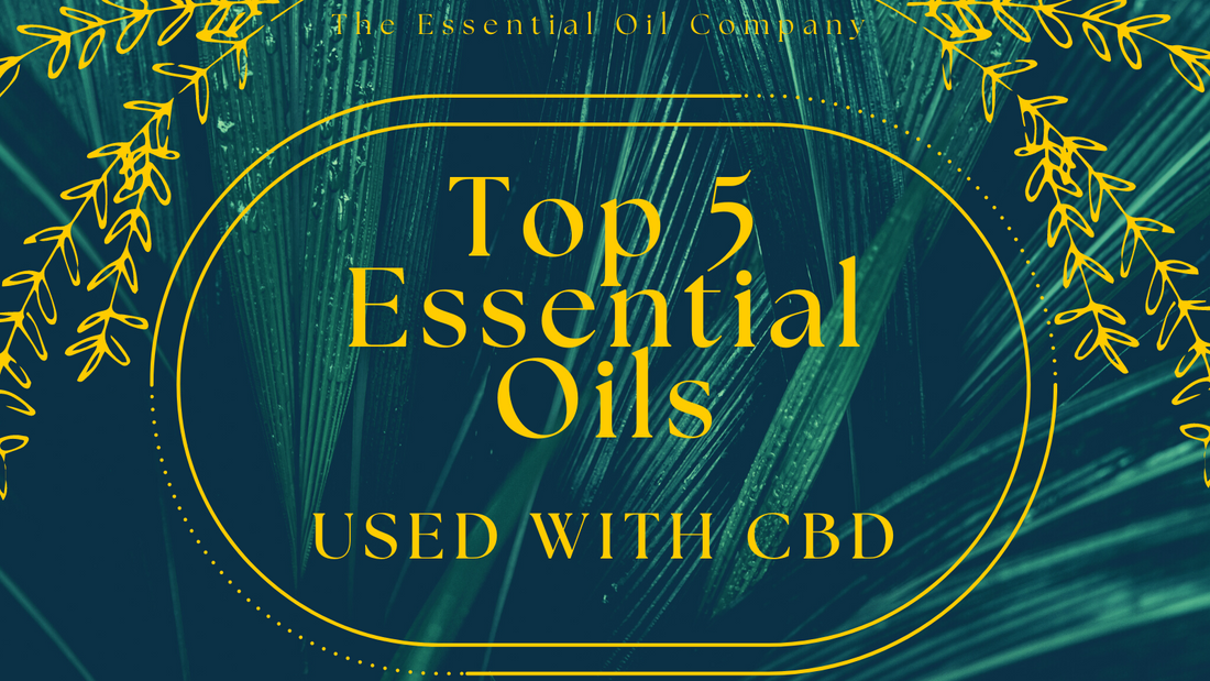 top 5 essential oils used with cbd