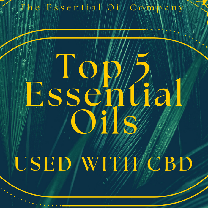 top 5 essential oils used with cbd