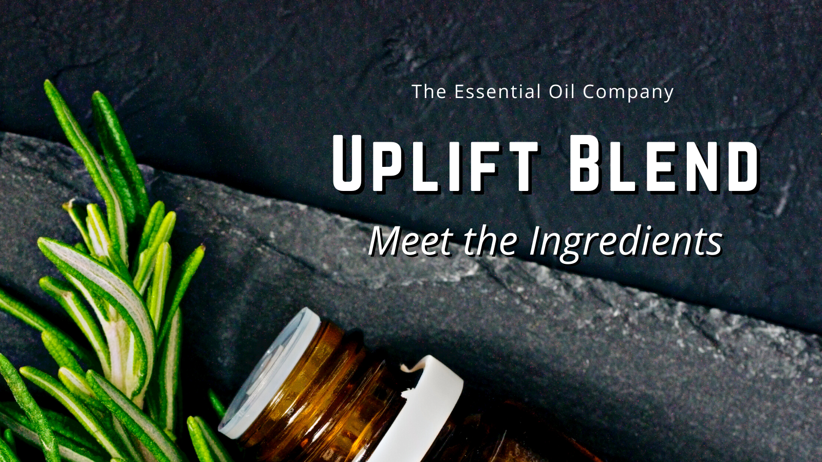 Uplift Blend: Meet the Ingredients
