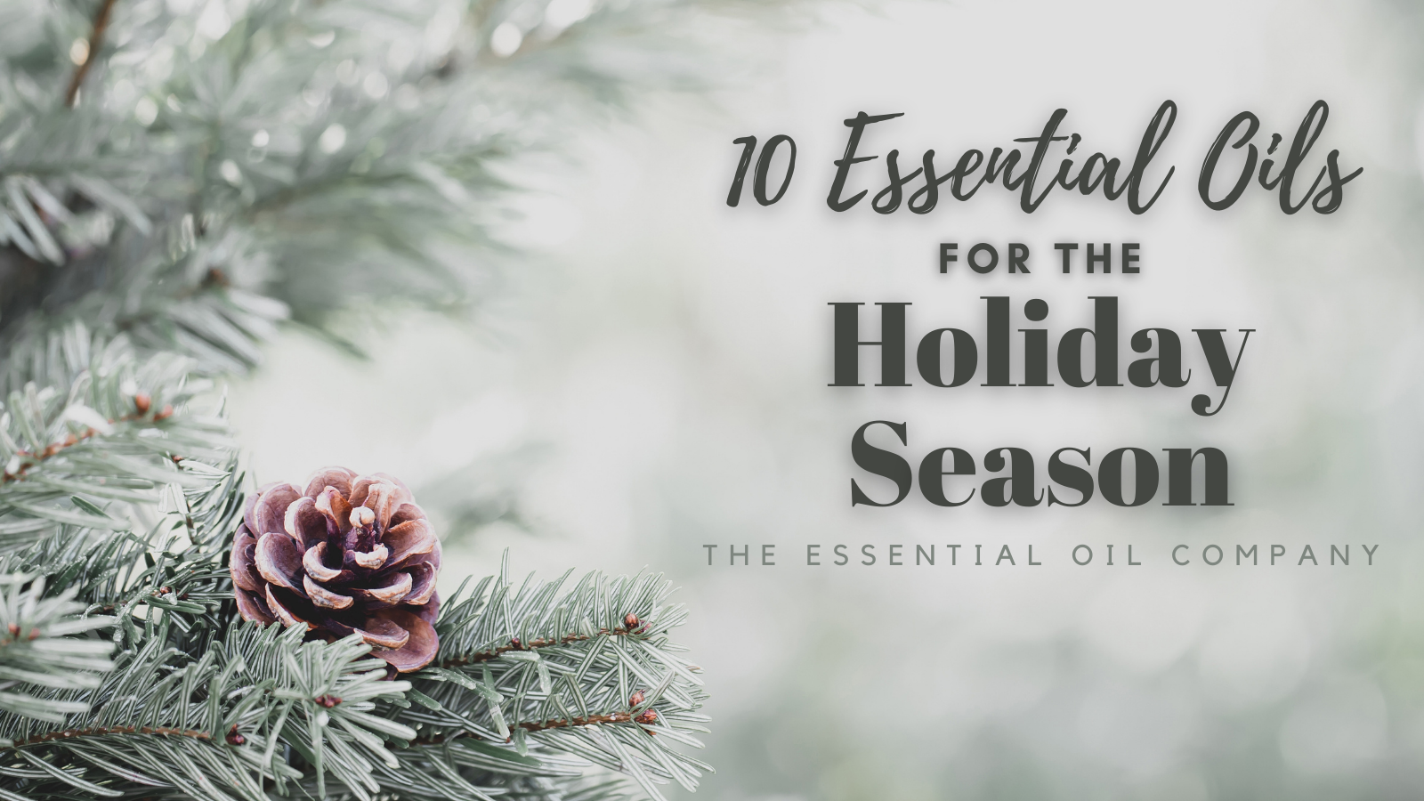 10 Essential Oil for the Holiday Season