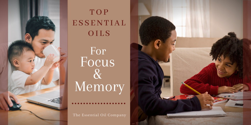 essential oils focus and memory