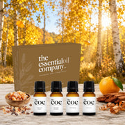 Fall Comfort & Transition Aromatherapy Essential Oil Set – 4 Bottle