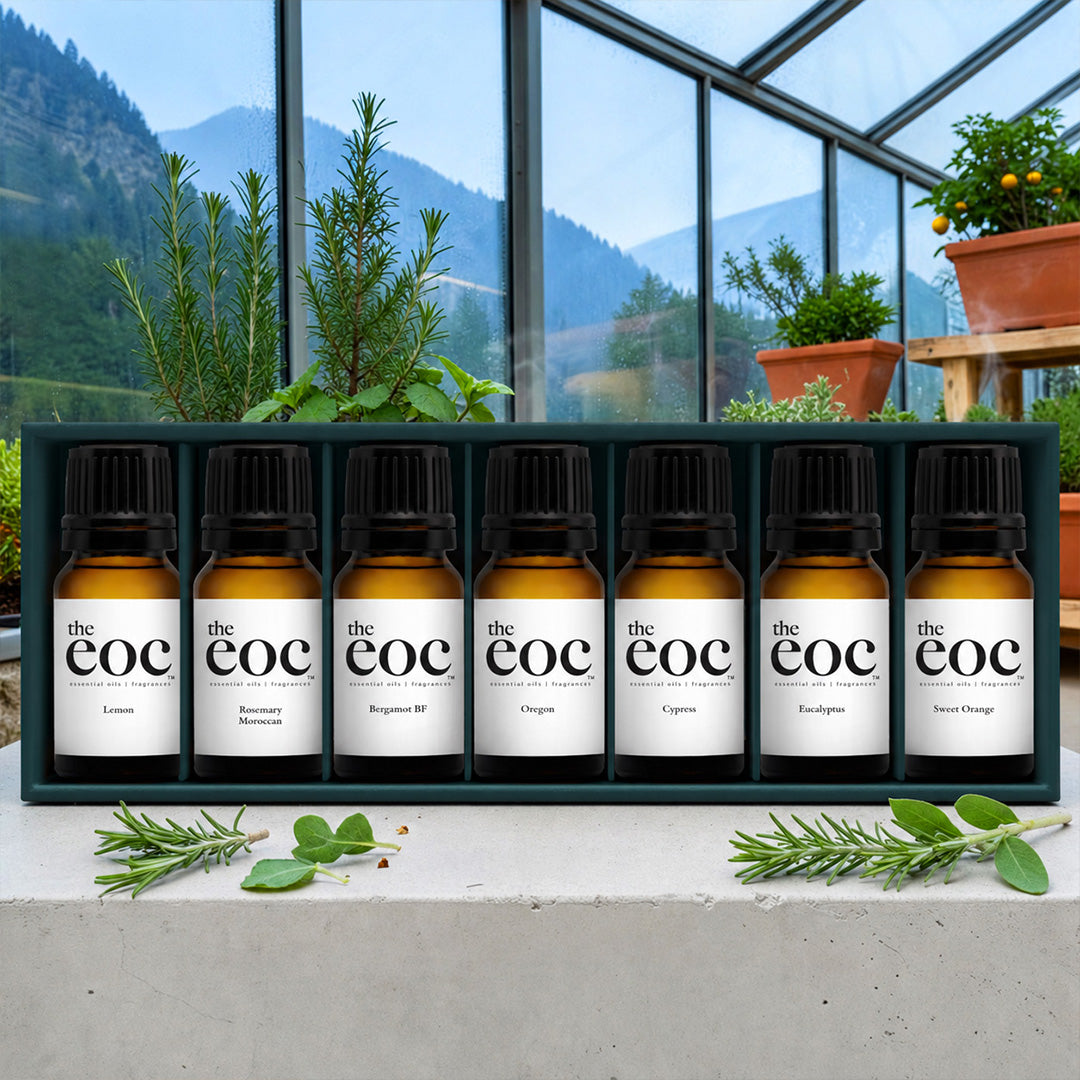 Focus & Flow Essential Oil Set – 7 Bottle
