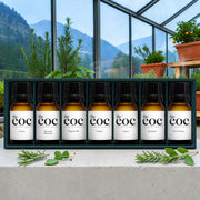 Focus & Flow Essential Oil Set – 7 Bottle