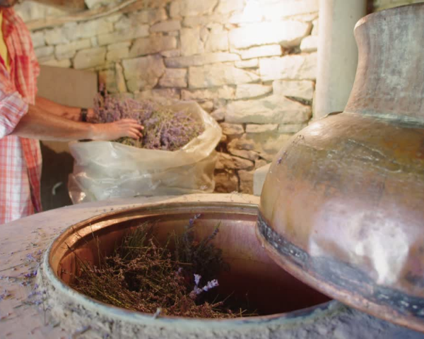 The Essential Oil Company