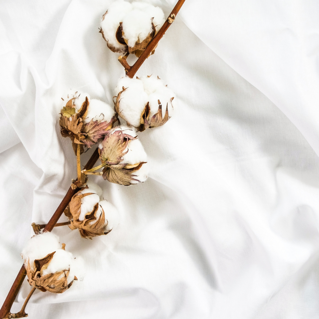Egyptian Cotton Fragrance Oil (Limited Time Only!)