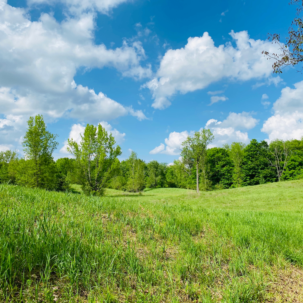 Beautiful Day Fragrance Oil