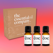 Date Night Fragrance Oil Set – 3 Bottle