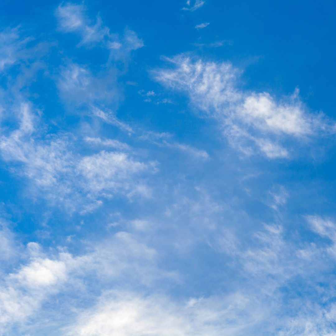 Breathe Easy Roll-On Essential Oil Set