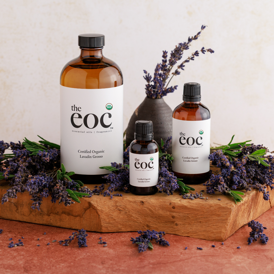 Certified Organic Lavandin Grosso