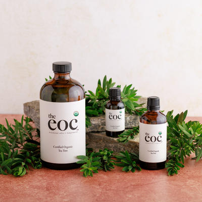 Certified Organic Tea Tree