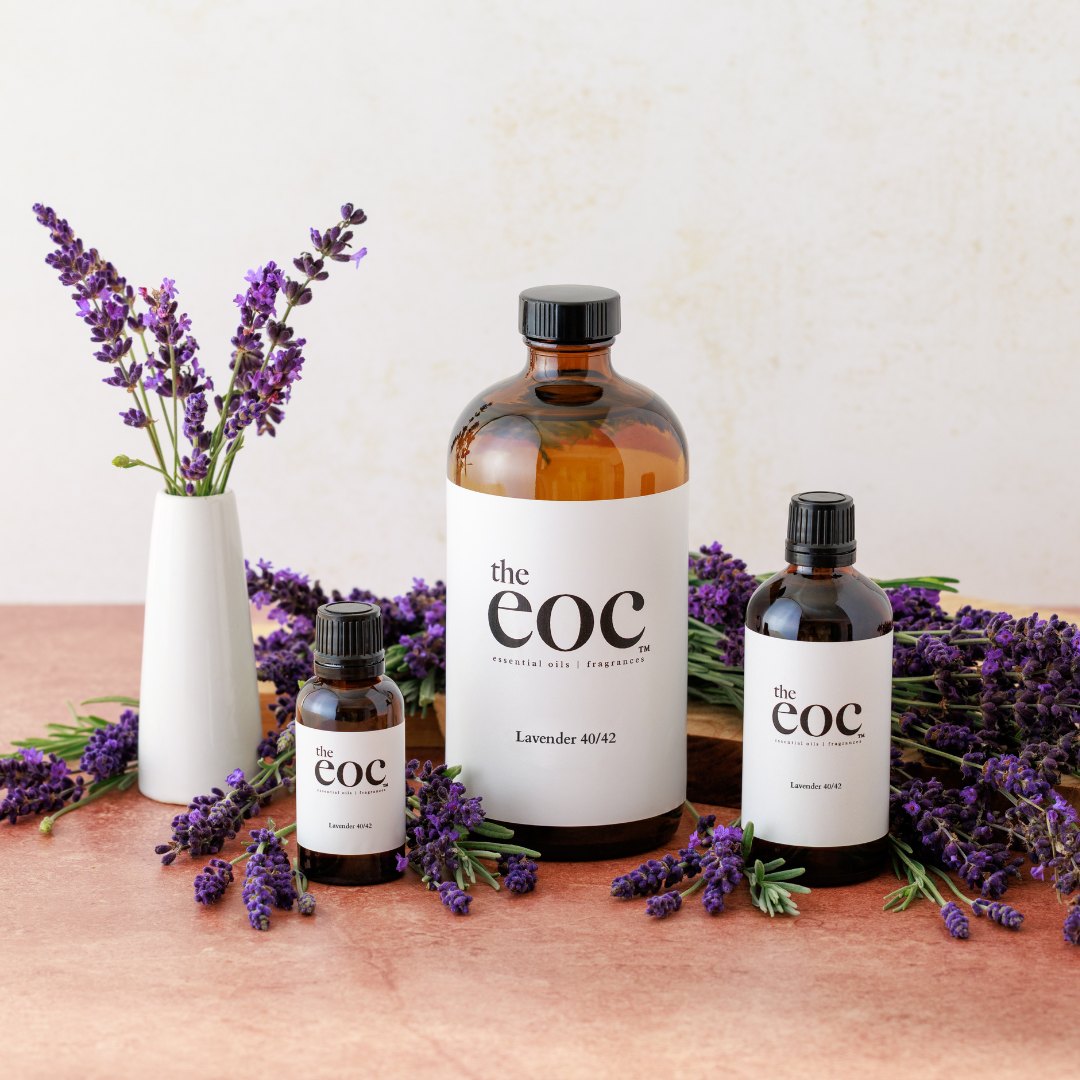Lavender 40/42 essential oil bottle