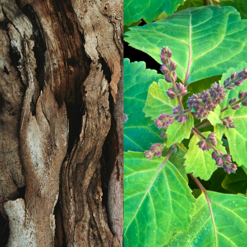 Natural Cedarwood & Patchouli