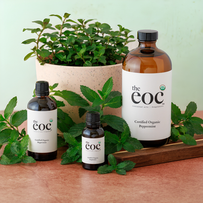 Certified Organic Peppermint