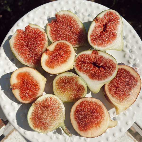 Sliced figs on a textured white plate