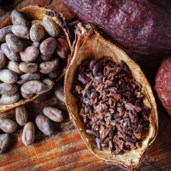 Cocoa beans and cacao nibs in a shell on a wooden surface