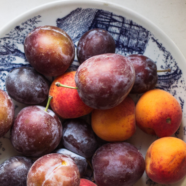 Plums and apricots on a decorative plate
