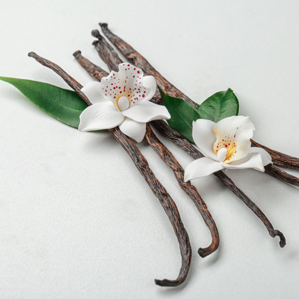 Vanilla beans with white flowers on a light gray background