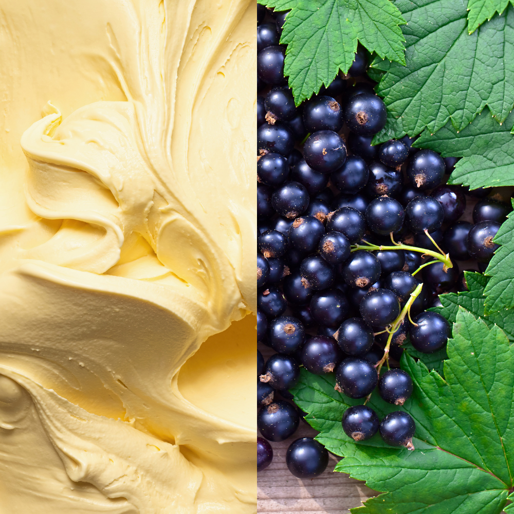 Natural Vanilla Black Currant