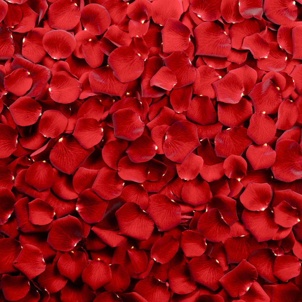 Rose Petal Roll-On Perfume