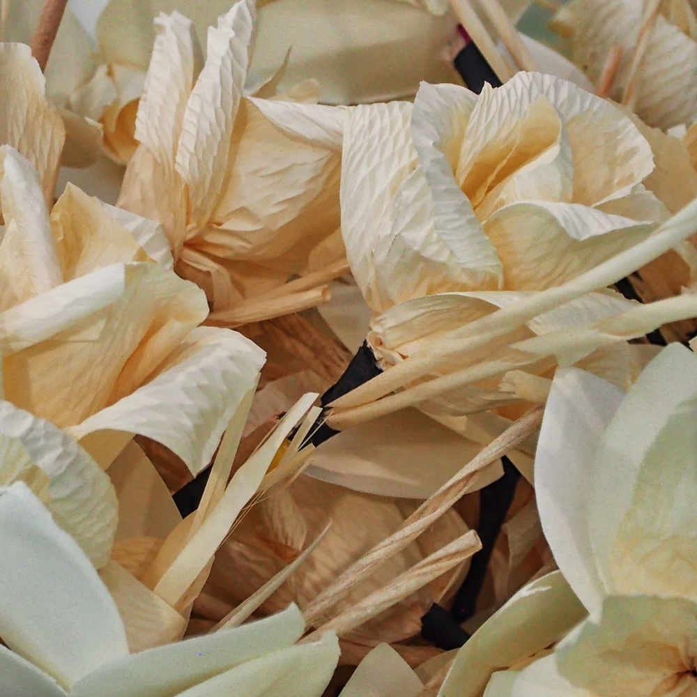 Sandalwood Vanilla Fragrance Oil