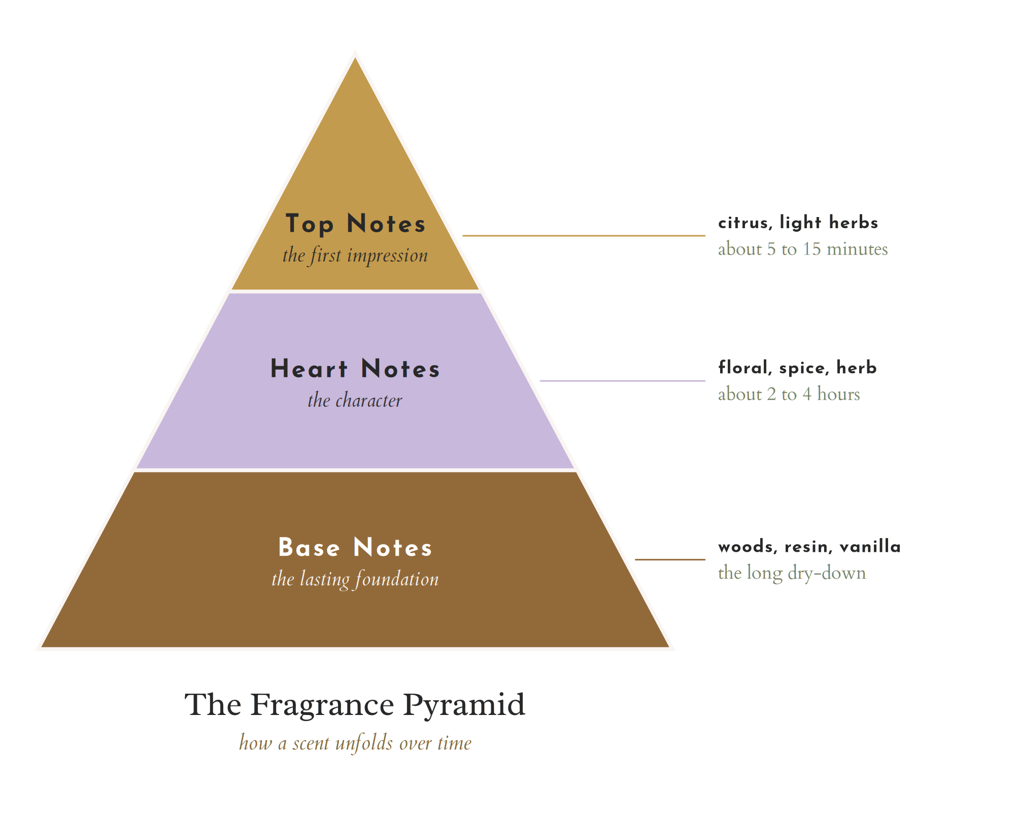 The Essential Oil Company