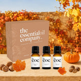 Fall Indulgence Fragrance Oil Set – 3 Bottle