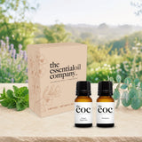 Late Summer Reset Aromatherapy Essential Oil Set – 2 Bottle