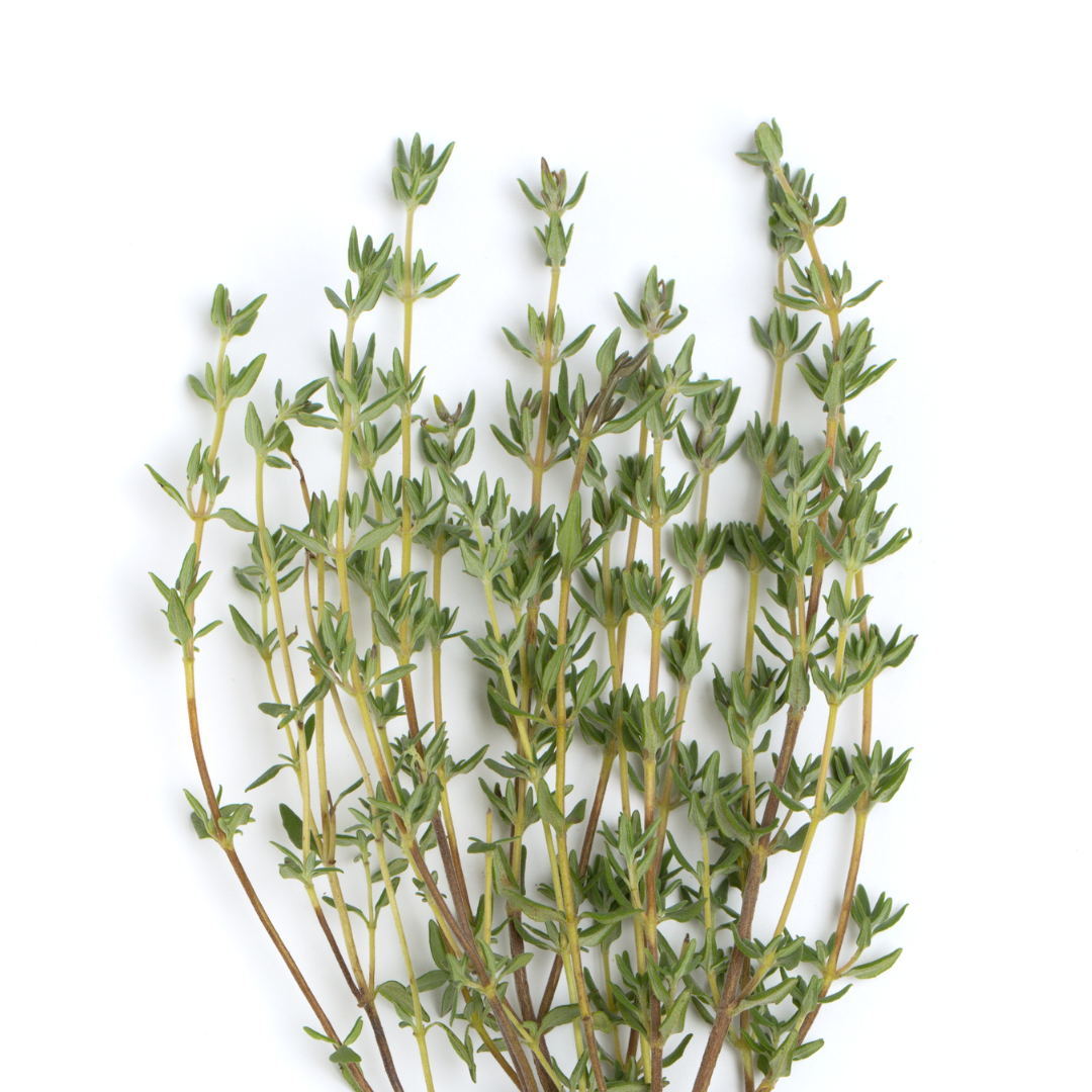 Certified Organic Thyme Essential Oil